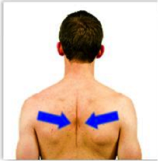 Retract and Depress Scapula