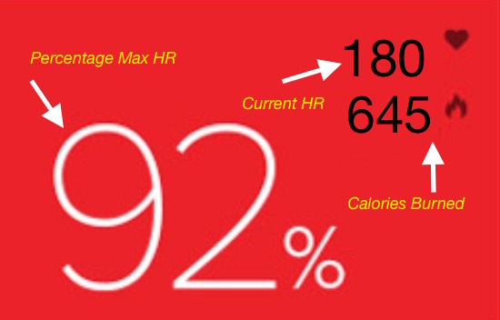 Heart Rate Training System