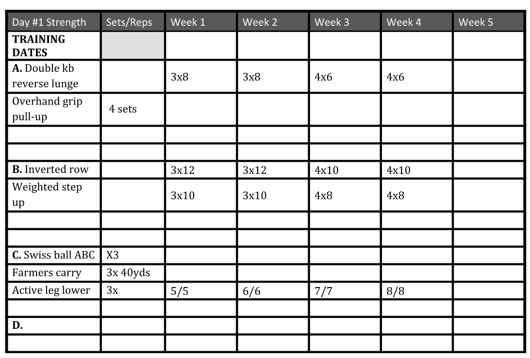 Post UFC Fight Training Programs 1