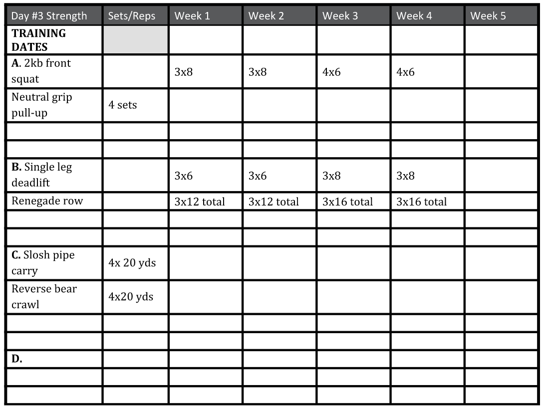 Post UFC Fight Training Programs 3