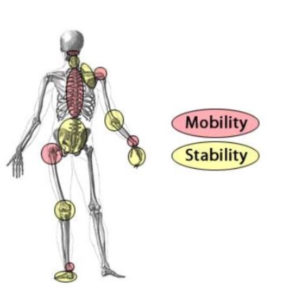 Mobility and Stability for Adults