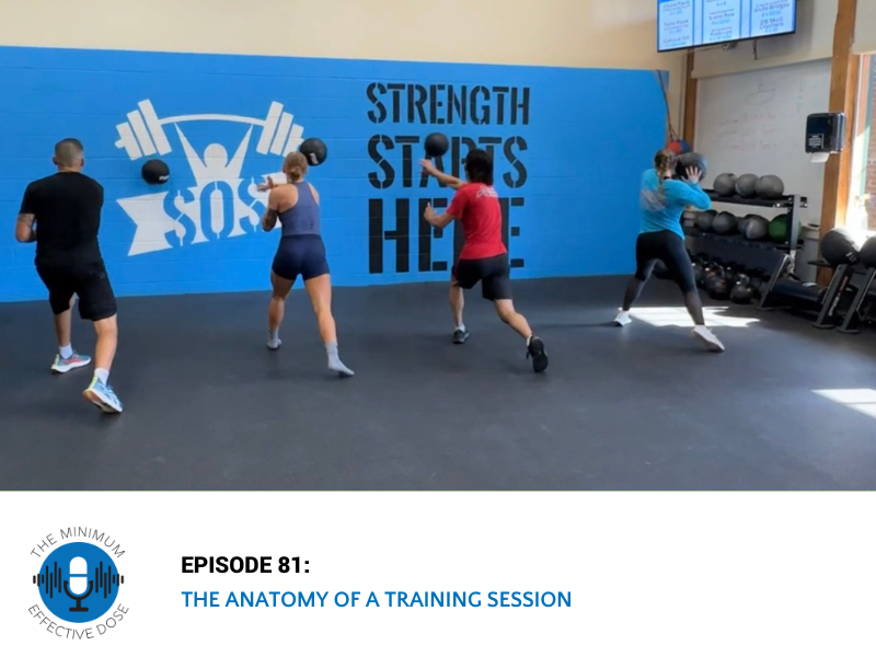The Anatomy of a Training Session