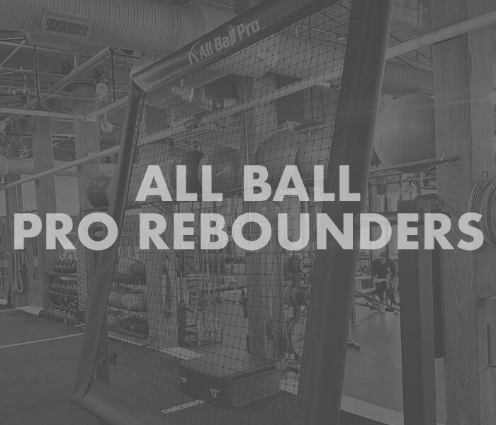 All Ball Pro Rebounders